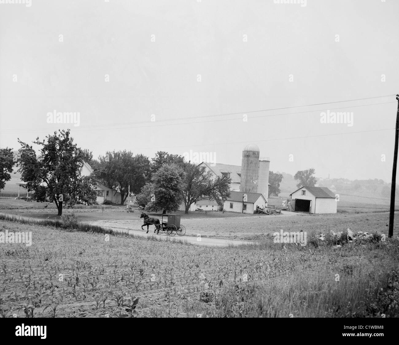 USA, Pennsylvania, Martindale, Amish farm country Banque D'Images