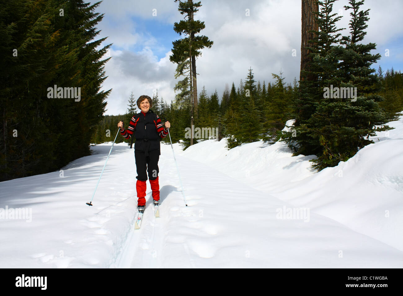 40 624,03351 Femme vêtue de noir et rouge le ski de fond d'une forêt de conifères couverts de neige ensoleillée de la route de l'arrière-pays/trail. Banque D'Images