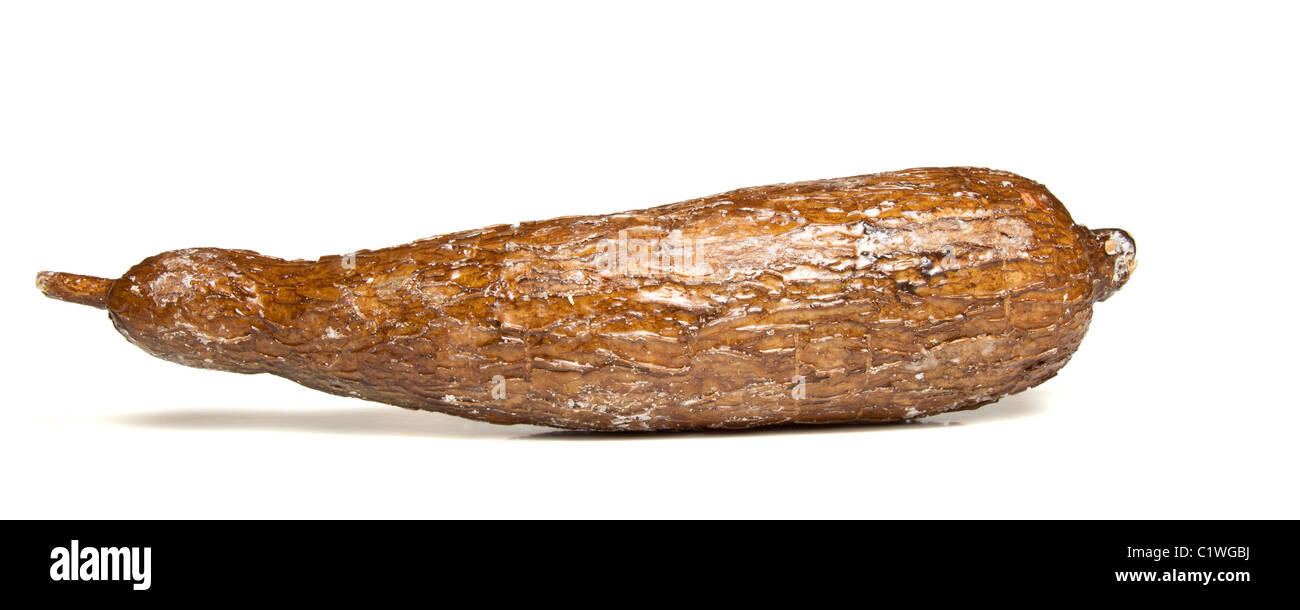 Racine de manioc isolé sur blanc du point de vue faible. Banque D'Images