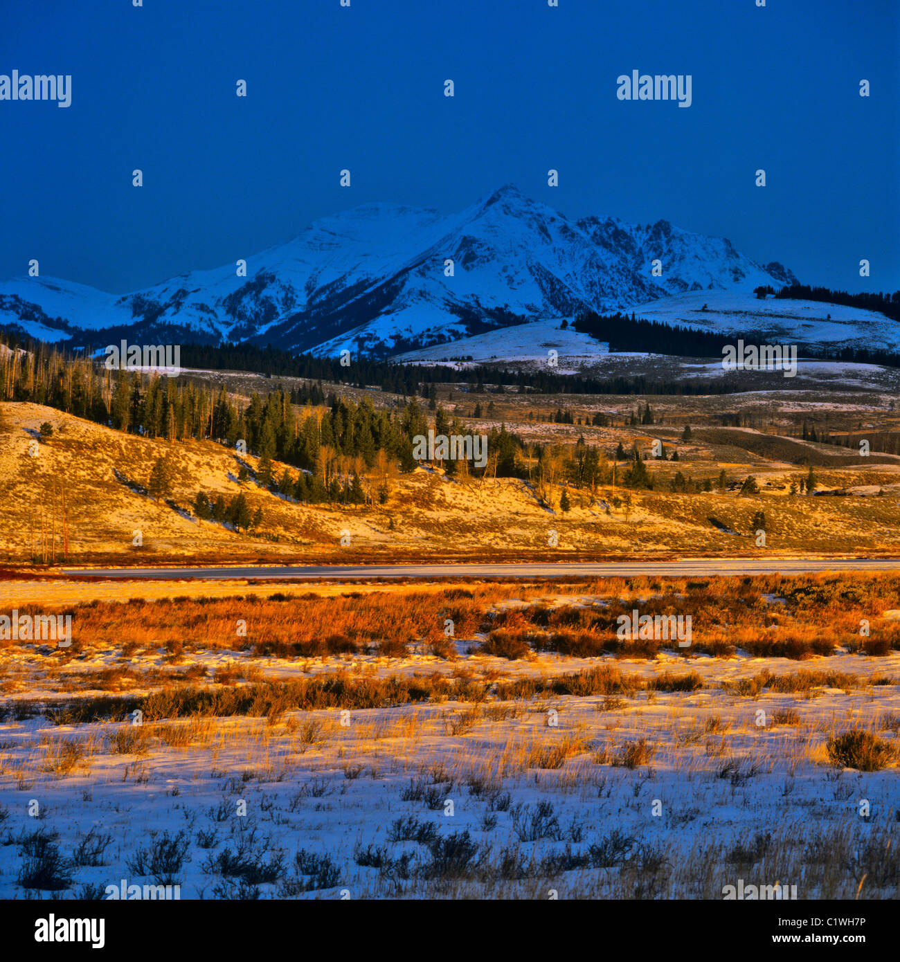 Snowcapped mountain range, Swan Lake Télévision, Quadrant Mountain, Gallatin Range, le Parc National de Yellowstone, Wyoming, USA Banque D'Images