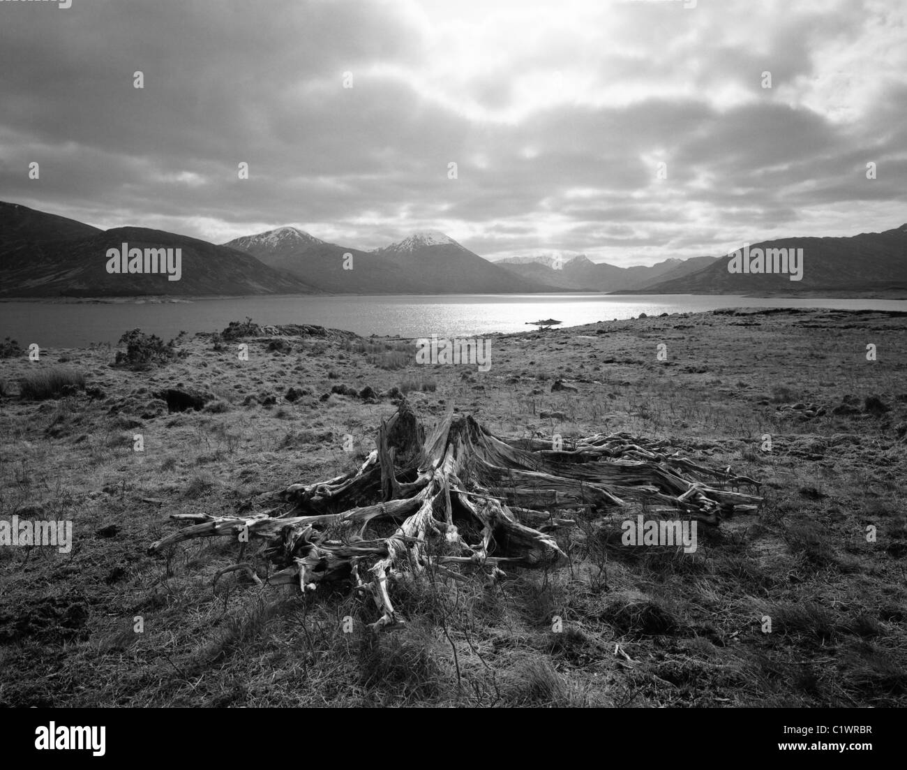 Paysage près de Invergarry, Highlands, Écosse Banque D'Images