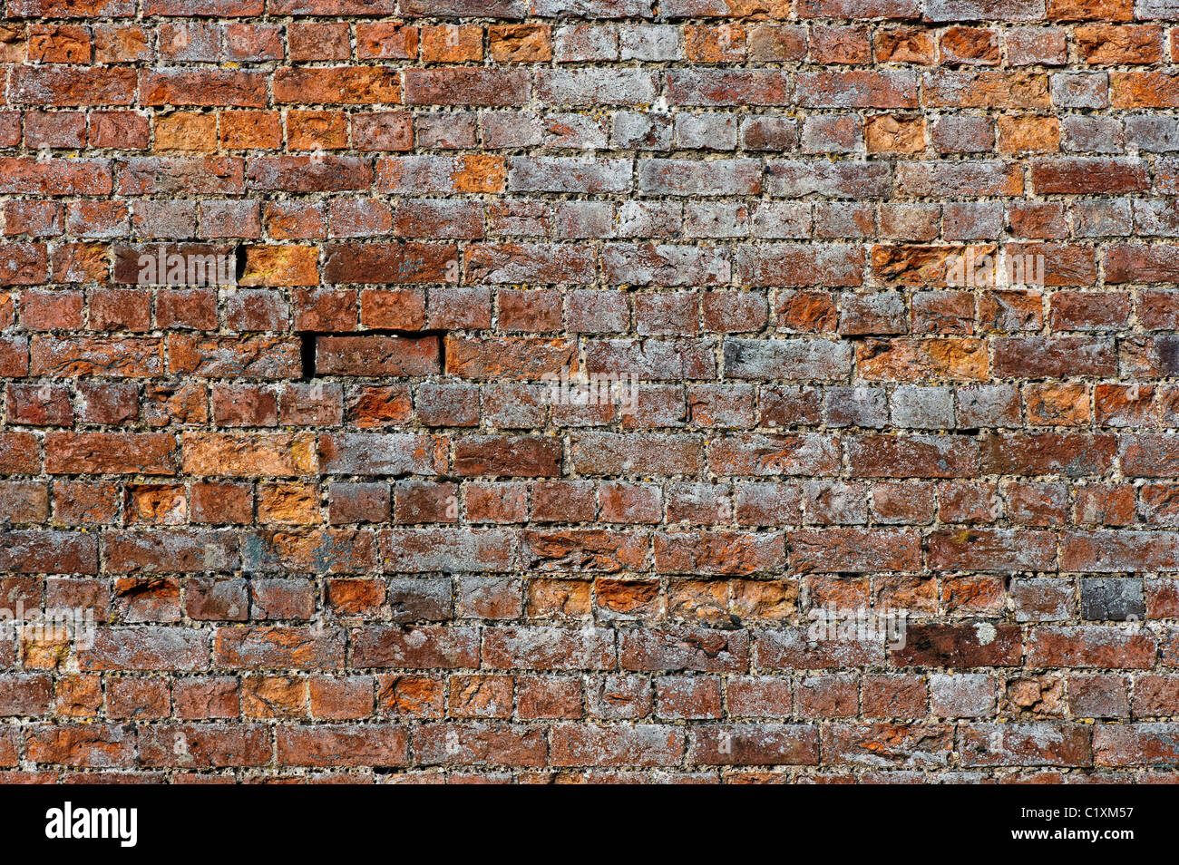 Jardin ancien mur de briques Banque D'Images