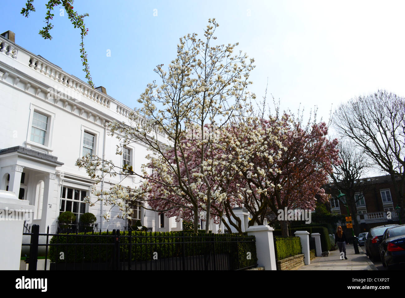 Le printemps à Egerton Gardens, Knightsbridge. Banque D'Images