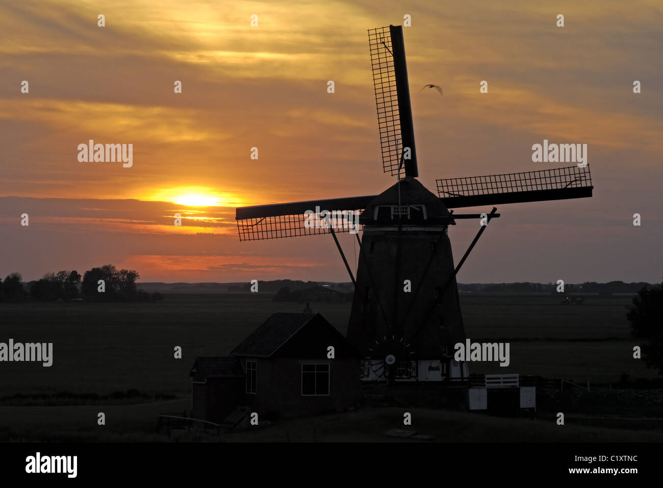 Moulin à Texel, Pays-Bas Banque D'Images