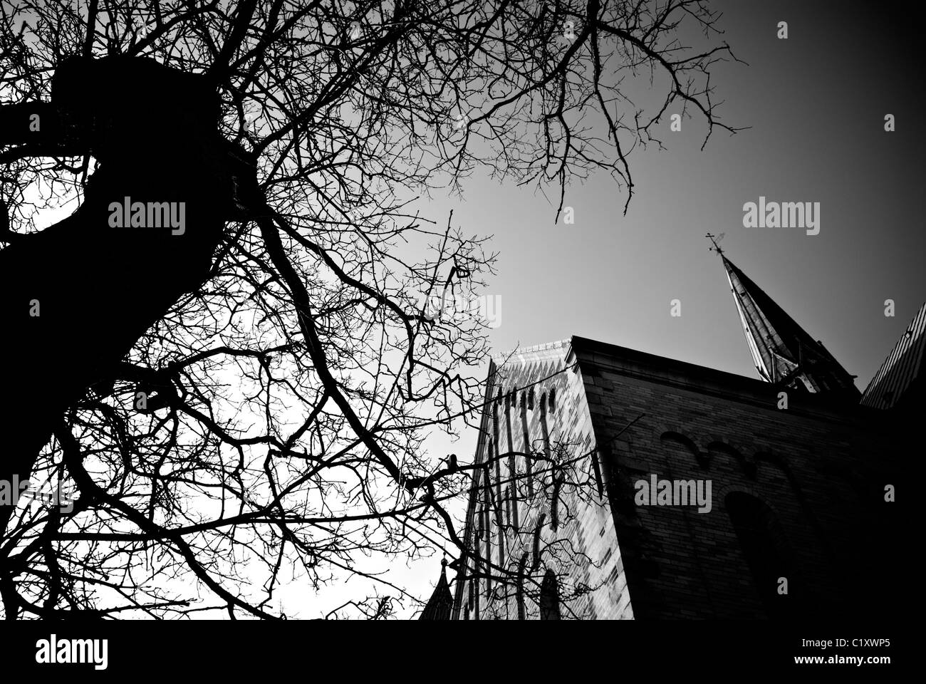 CATHÉDRALE DE RIBE Banque D'Images