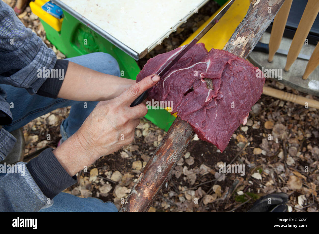 Woman slicing raw de la viande d'orignal, Close up of hands, les Premières Nations, de l'Alberta, Canada Banque D'Images