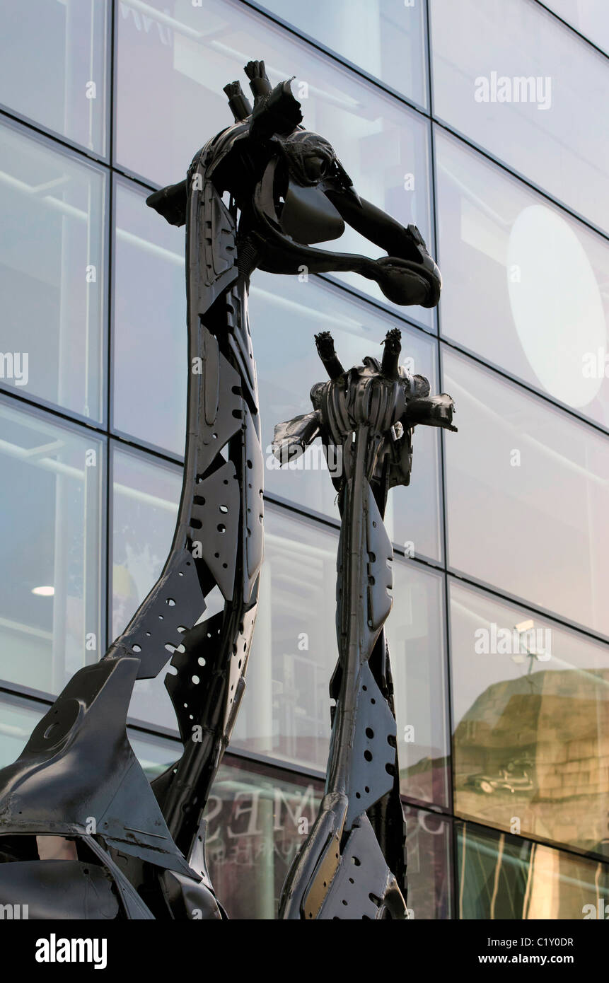 Girafe sculptures dans le centre d'Édimbourg, en Écosse. Banque D'Images