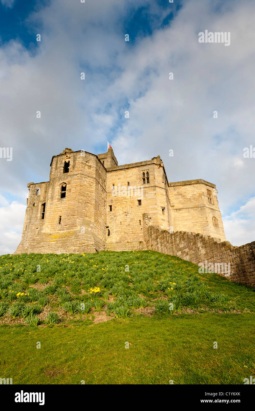 Château de Warkworth Banque D'Images