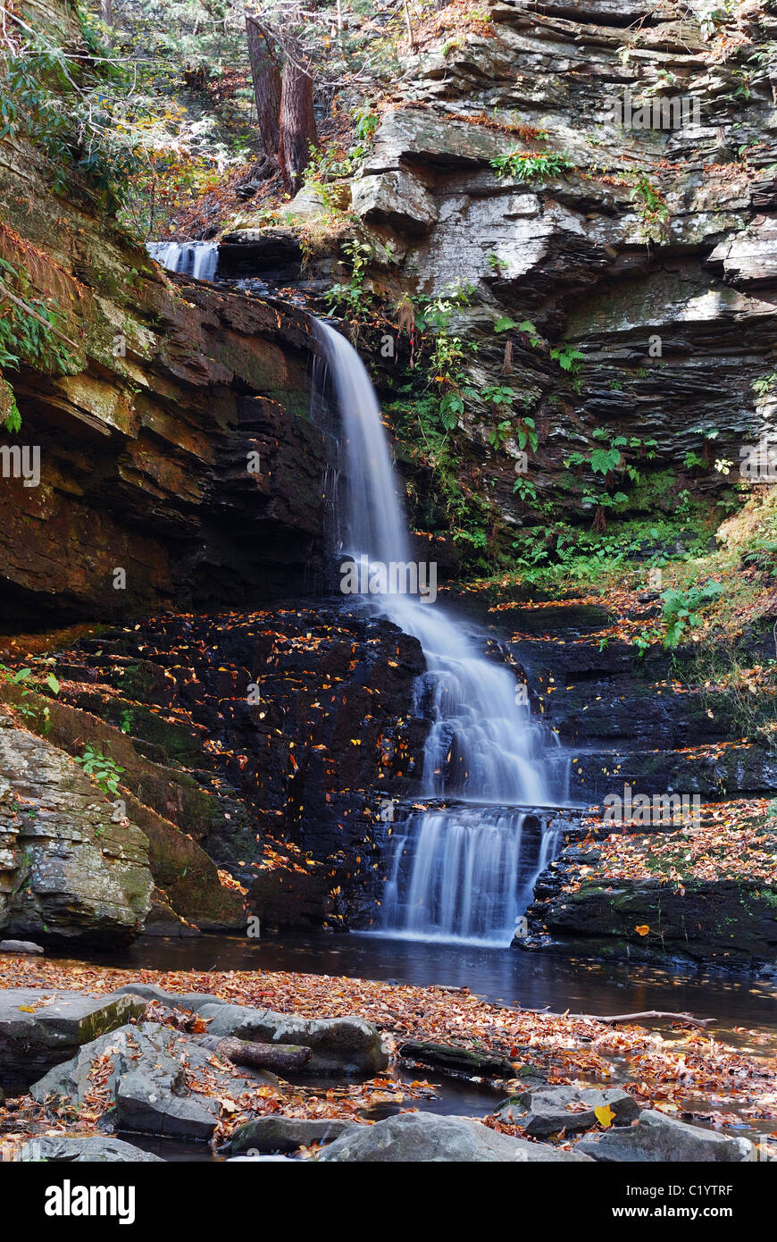 Chute d'Automne en montagne à partir de chutes de Bushkill, Pennsylvanie. Banque D'Images