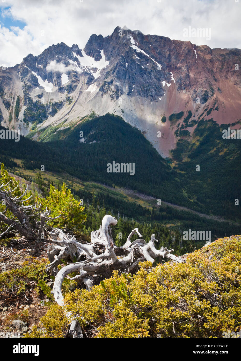 L'azurite Peak vu de Grasshopper Pass, Washington, USA. Des Cascades Banque D'Images