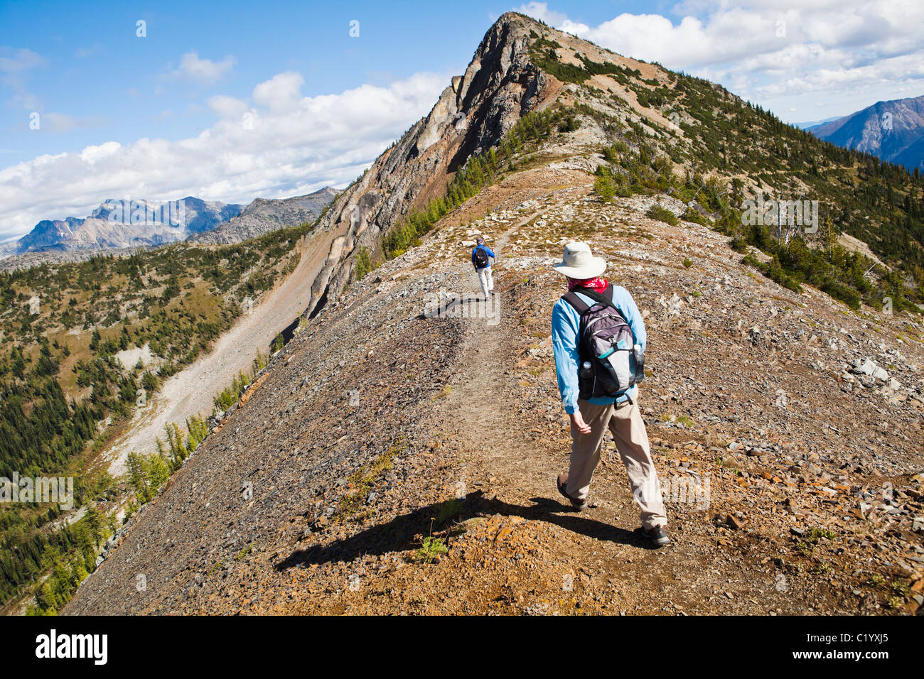 Deux hommes randonnée sur le Pacific Crest Trail près de Harts Pass, North Cascades, Washington, USA. Banque D'Images