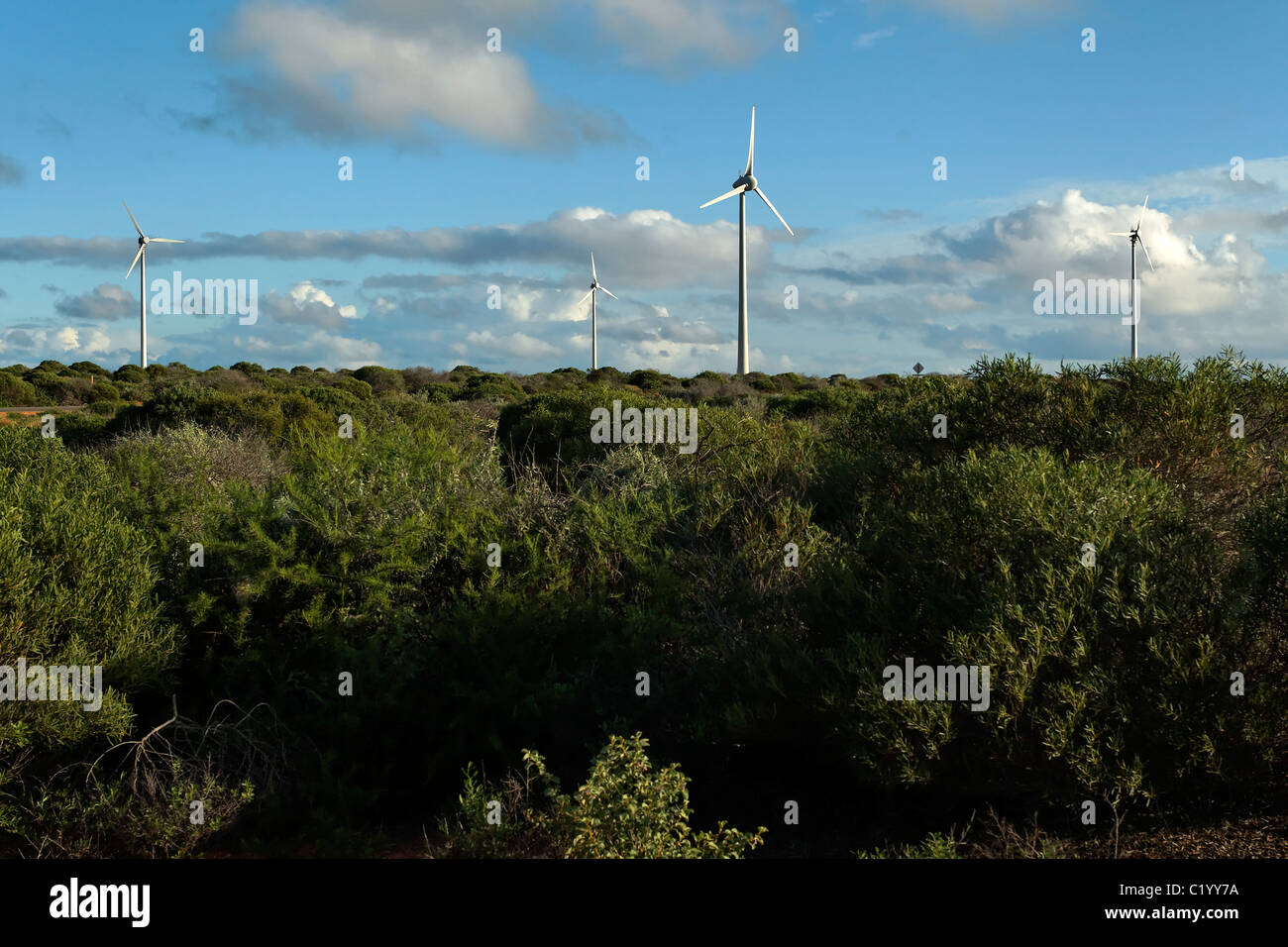 Close Up des aérogénérateurs, Denham Australie Occidentale Banque D'Images