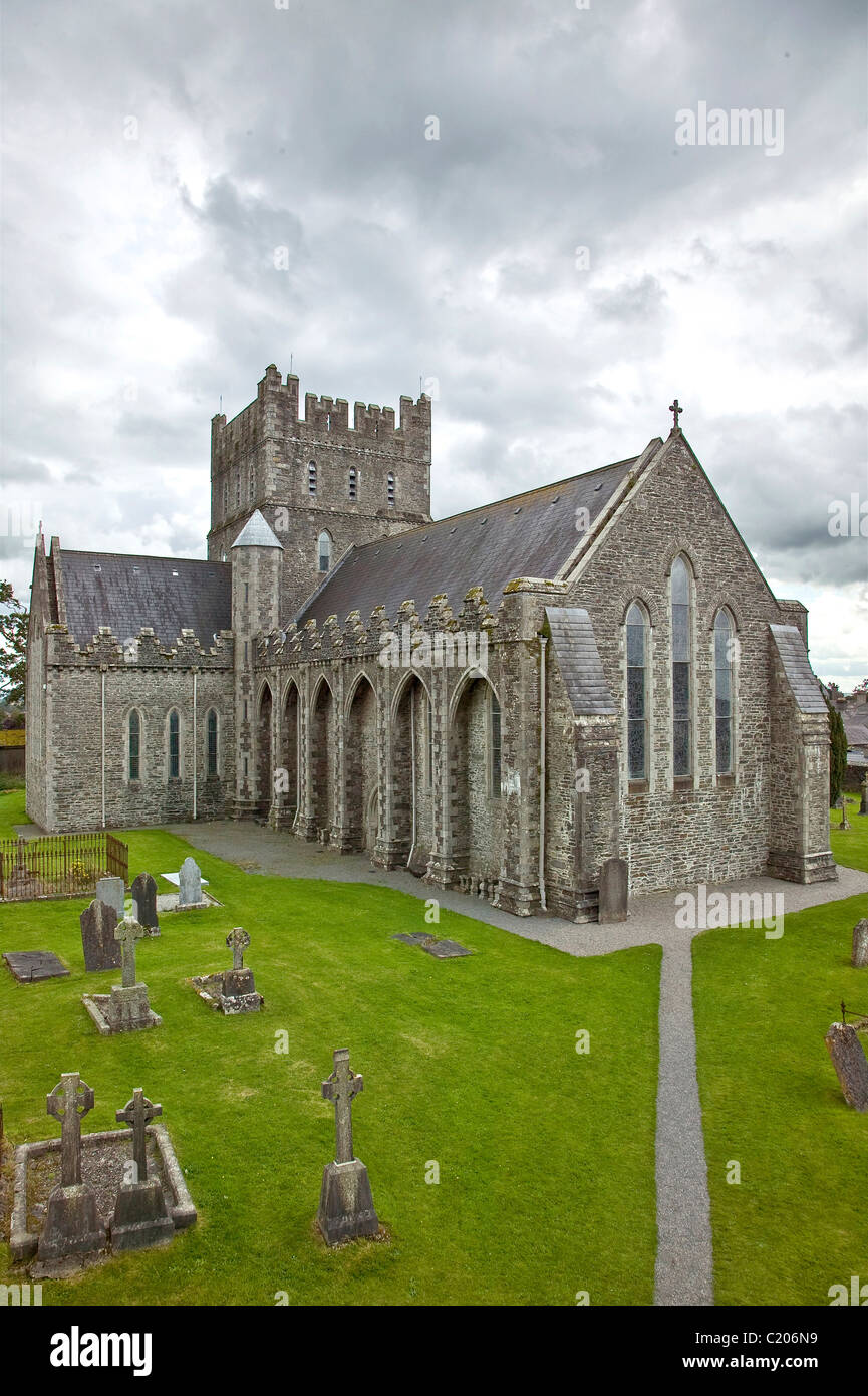 La Cathédrale de Sainte Brigitte de Kildare Irlande Banque D'Images