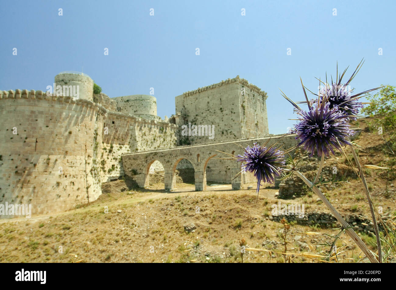 Krak des Chevaliers, château des Croisés en Syrie Banque D'Images