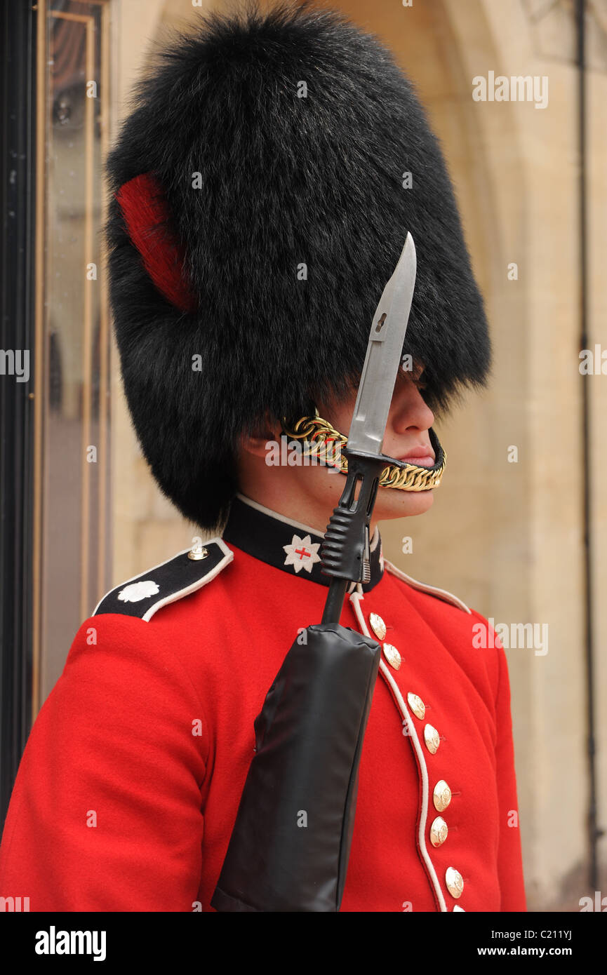 Aussi intelligent qu'un des gardes. Coldstream guard au château de Windsor Banque D'Images