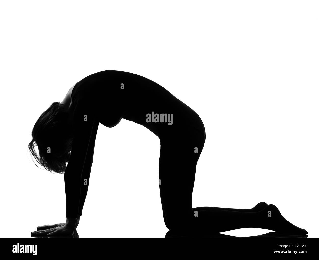 Chat Bidalasana posent yoga woman position posture en silhouette sur fond blanc studio Banque D'Images