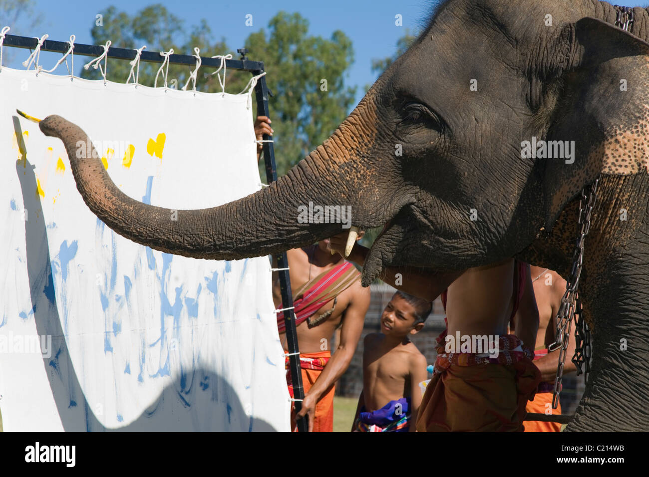 Un éléphant peint un tableau pendant l'éléphant Surin le Roundup. Surin Surin, province, Thailand Banque D'Images