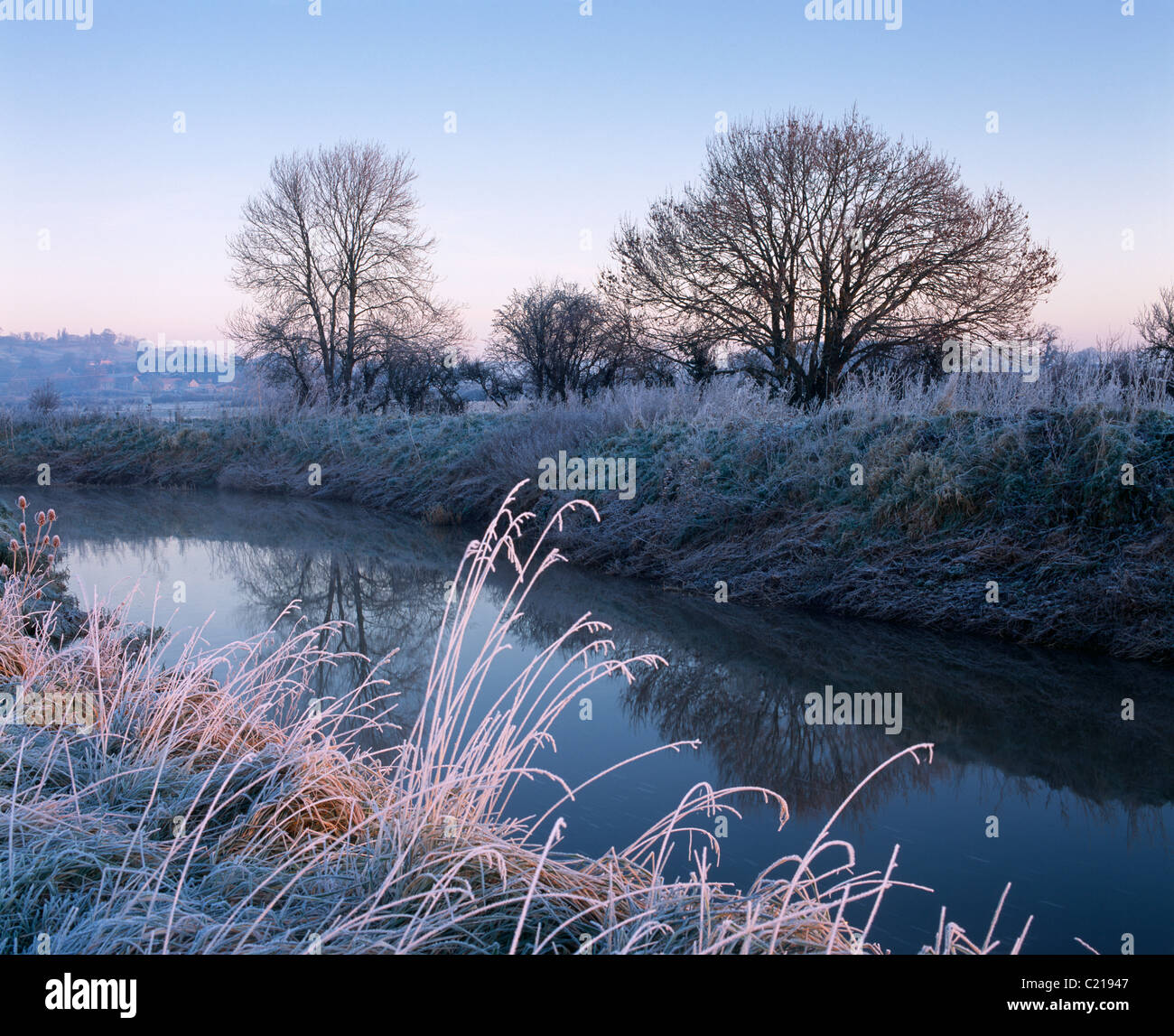 La rivière Brue sur South Moor sur les niveaux de Somerset à Glastonbury, Somerset, Angleterre Banque D'Images