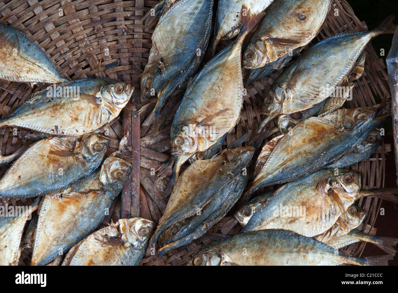 Les poissons de rivière à vendre dans un marché au Togo, Afrique de l'Ouest. Banque D'Images