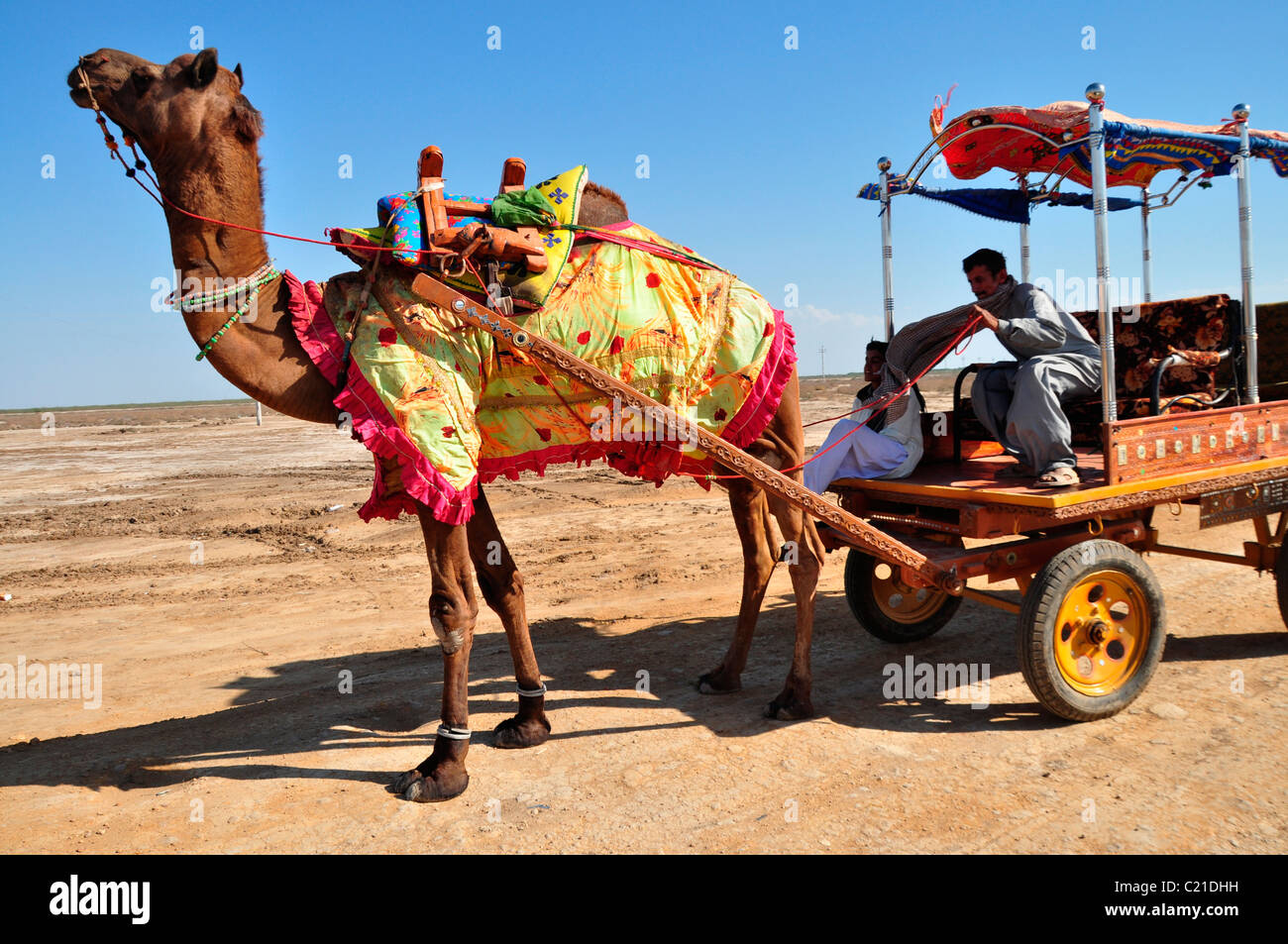 Un chariot de chameau Banque D'Images