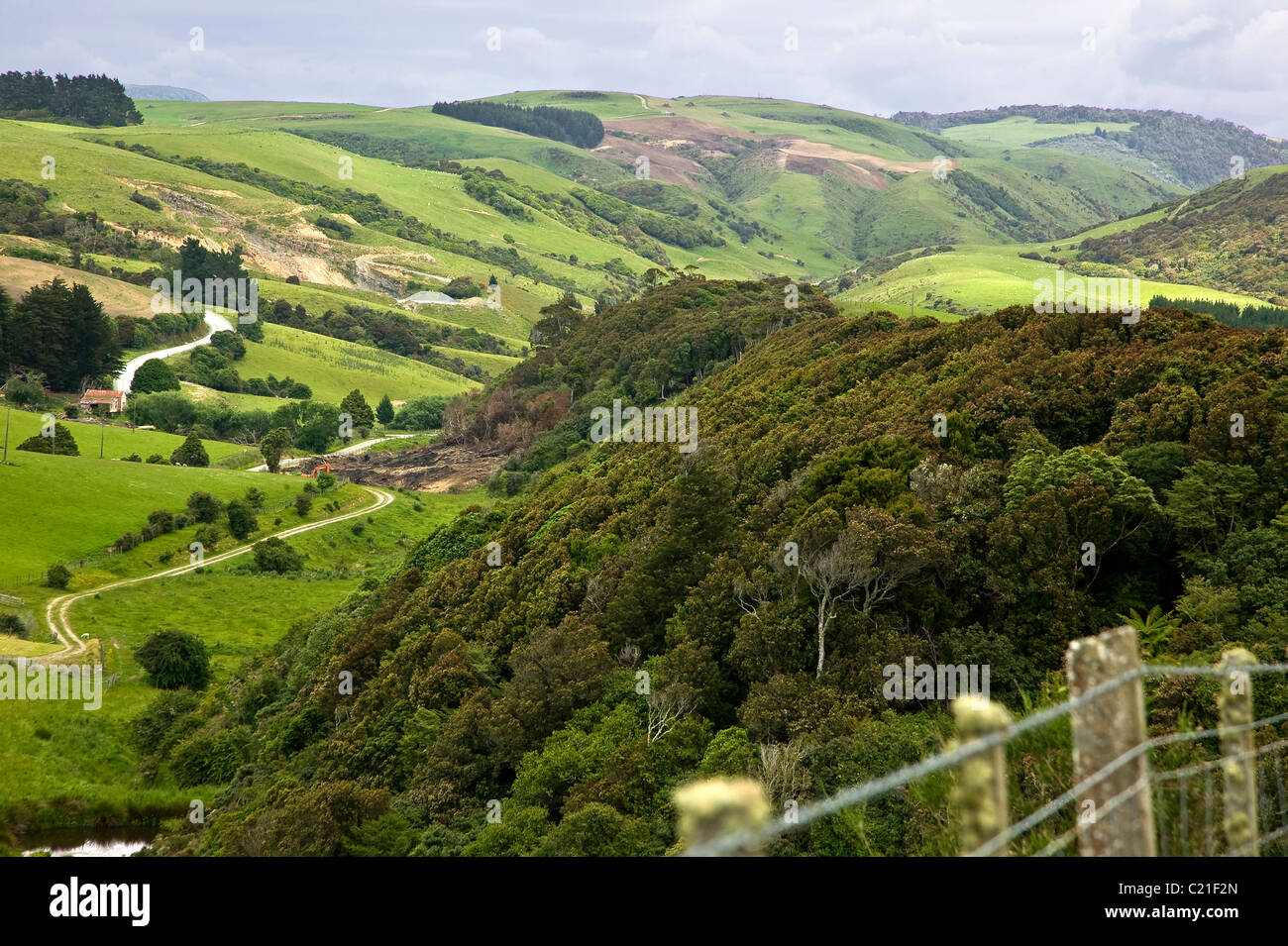 Paysage vallonné dans la Nouvelle-Zélande, Catlins Banque D'Images