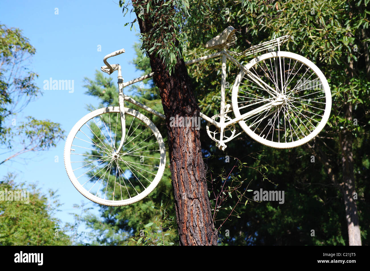 Vélo de couleur blanche dans un arbre Banque D'Images