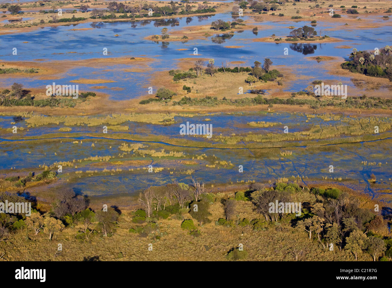 La rivière Okavango, vue aérienne Banque D'Images