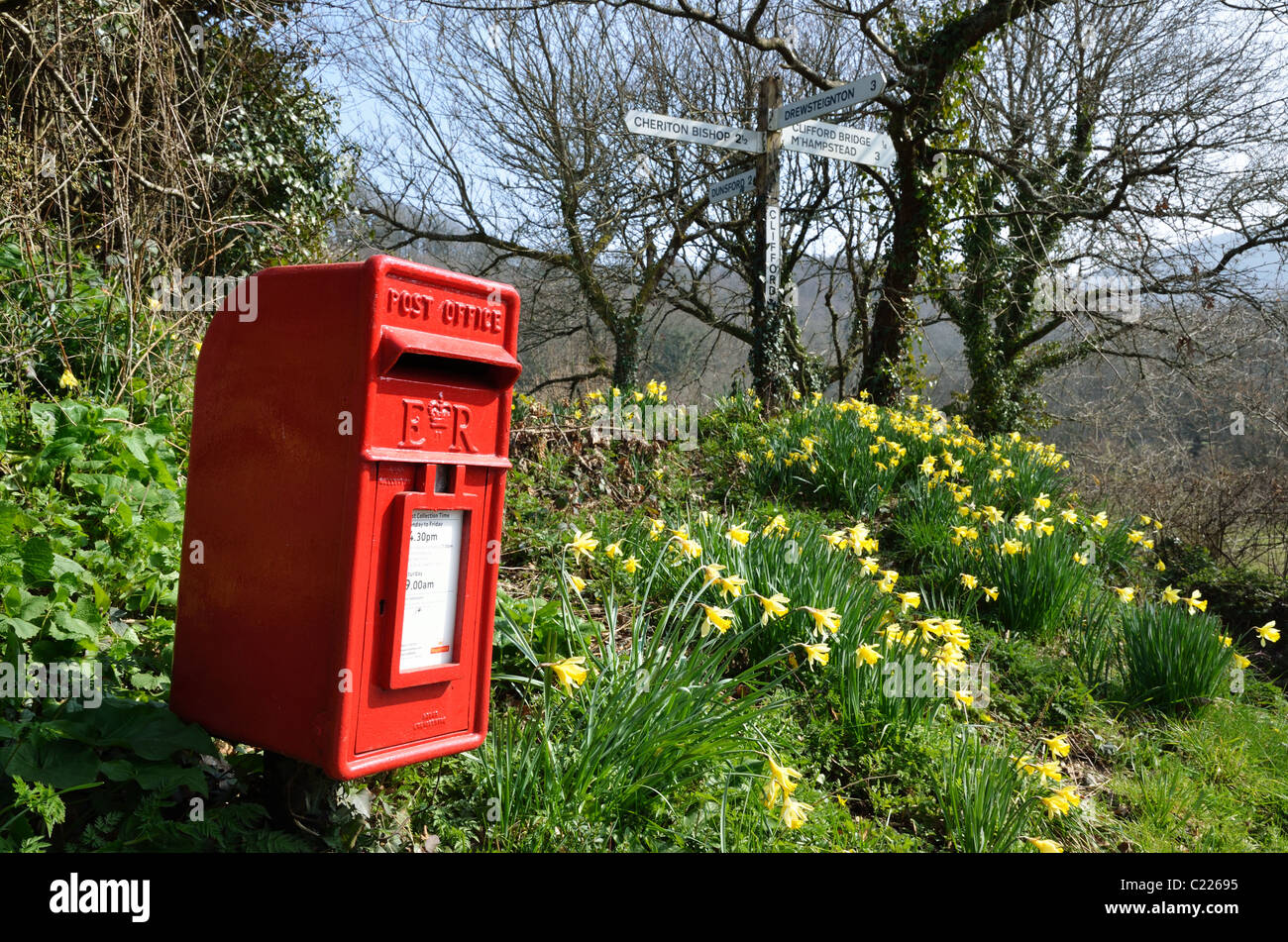 Post Box et des jonquilles à Clifford Cross, près de Dunsford Devon UK Banque D'Images