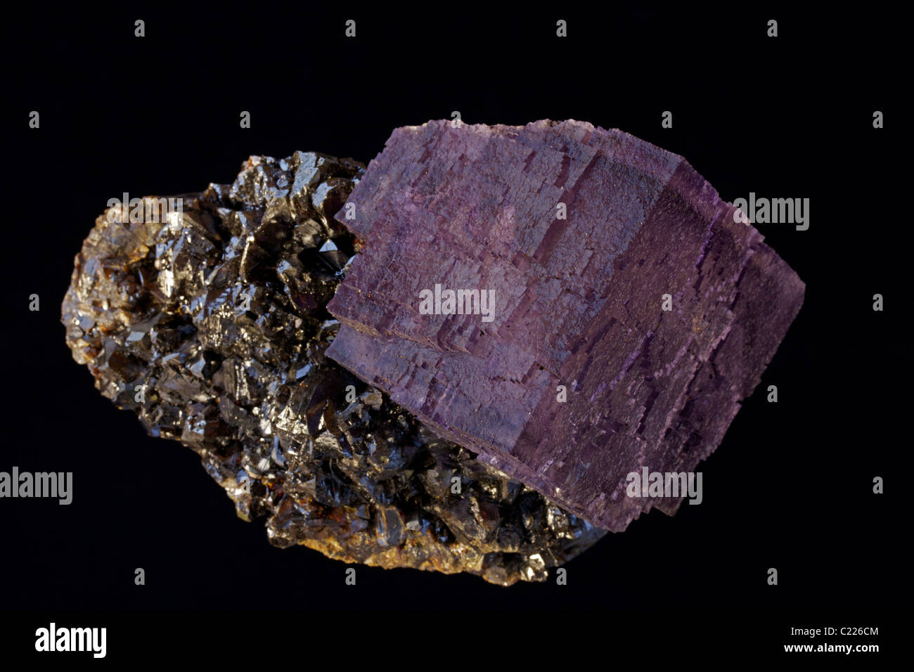 Fluorine (CaF2) (fluorure de calcium) sur la sphalérite (ZnS) (sulfure de zinc) - Elmwood Mine - Comté de Smith - Tennessee - USA Banque D'Images