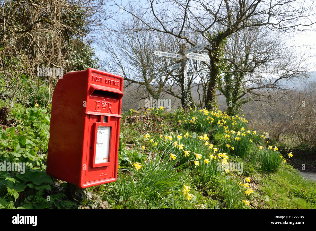 Post Box et des jonquilles à Clifford Cross, près de Dunsford Devon UK Banque D'Images