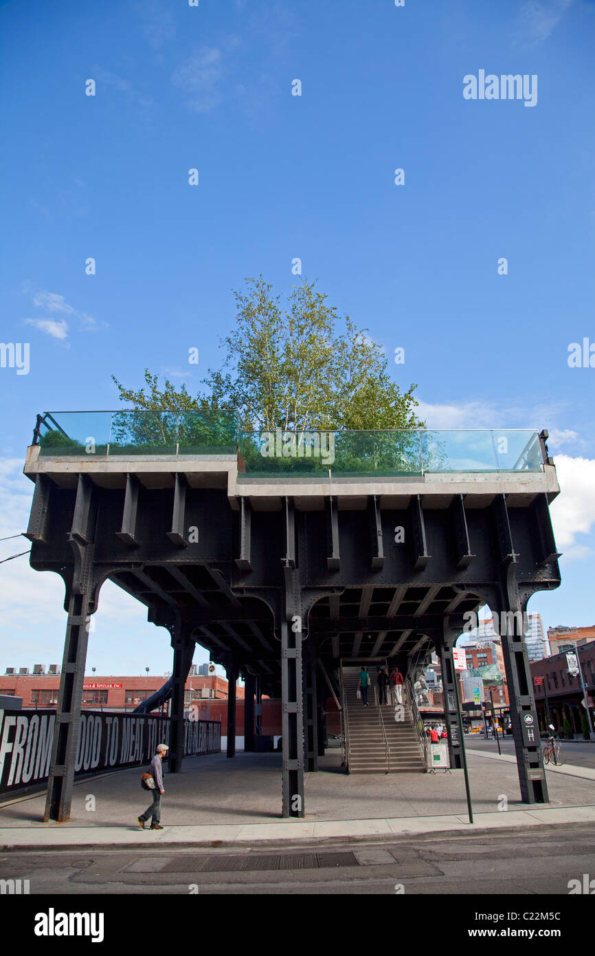 Le parc High LIne, Chelsea, Manhattan, New York, USA Banque D'Images