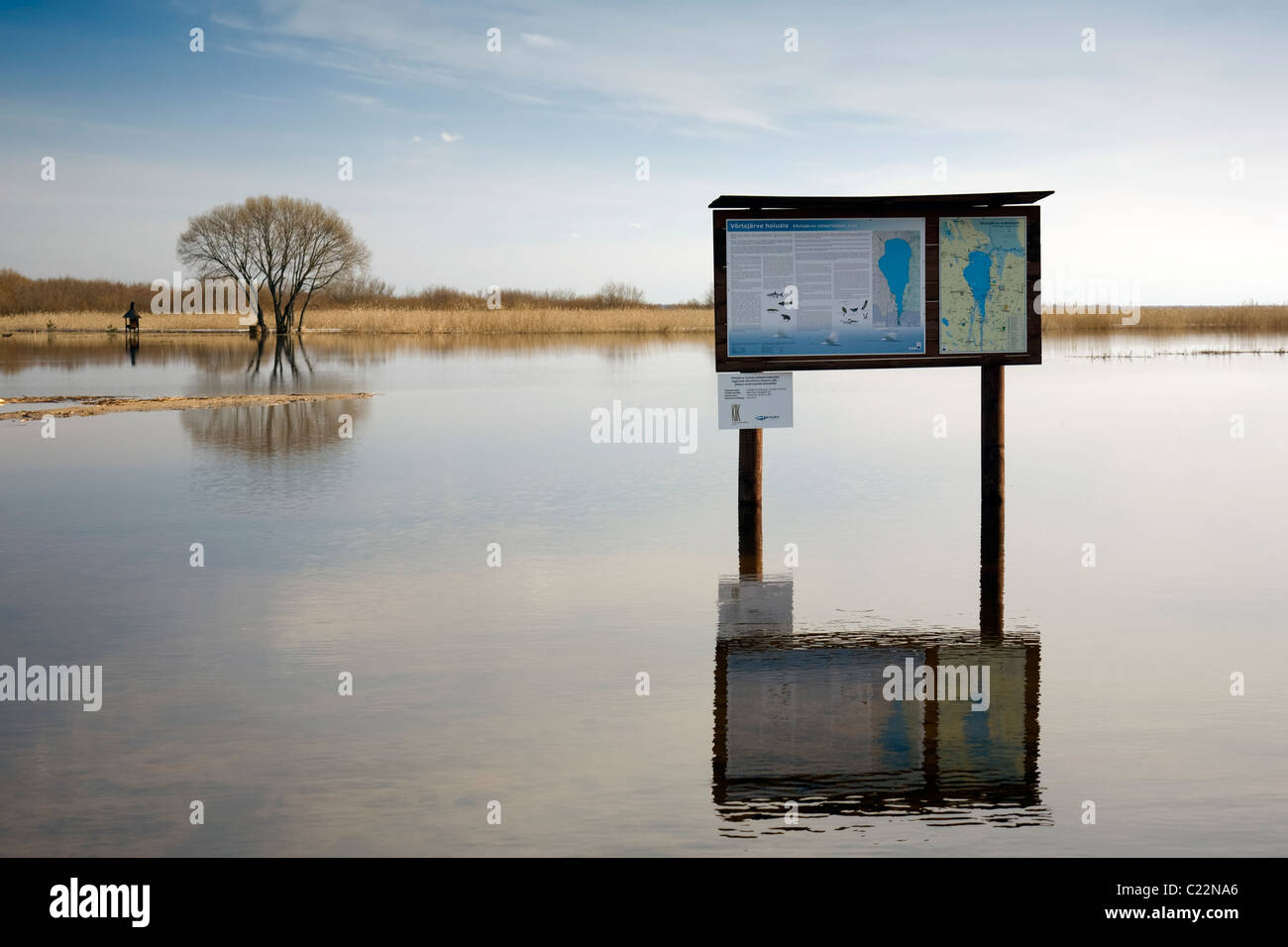 Dans la rivière Emajõgi Jõesuu, lac Võrtsjärv, Estonie Banque D'Images