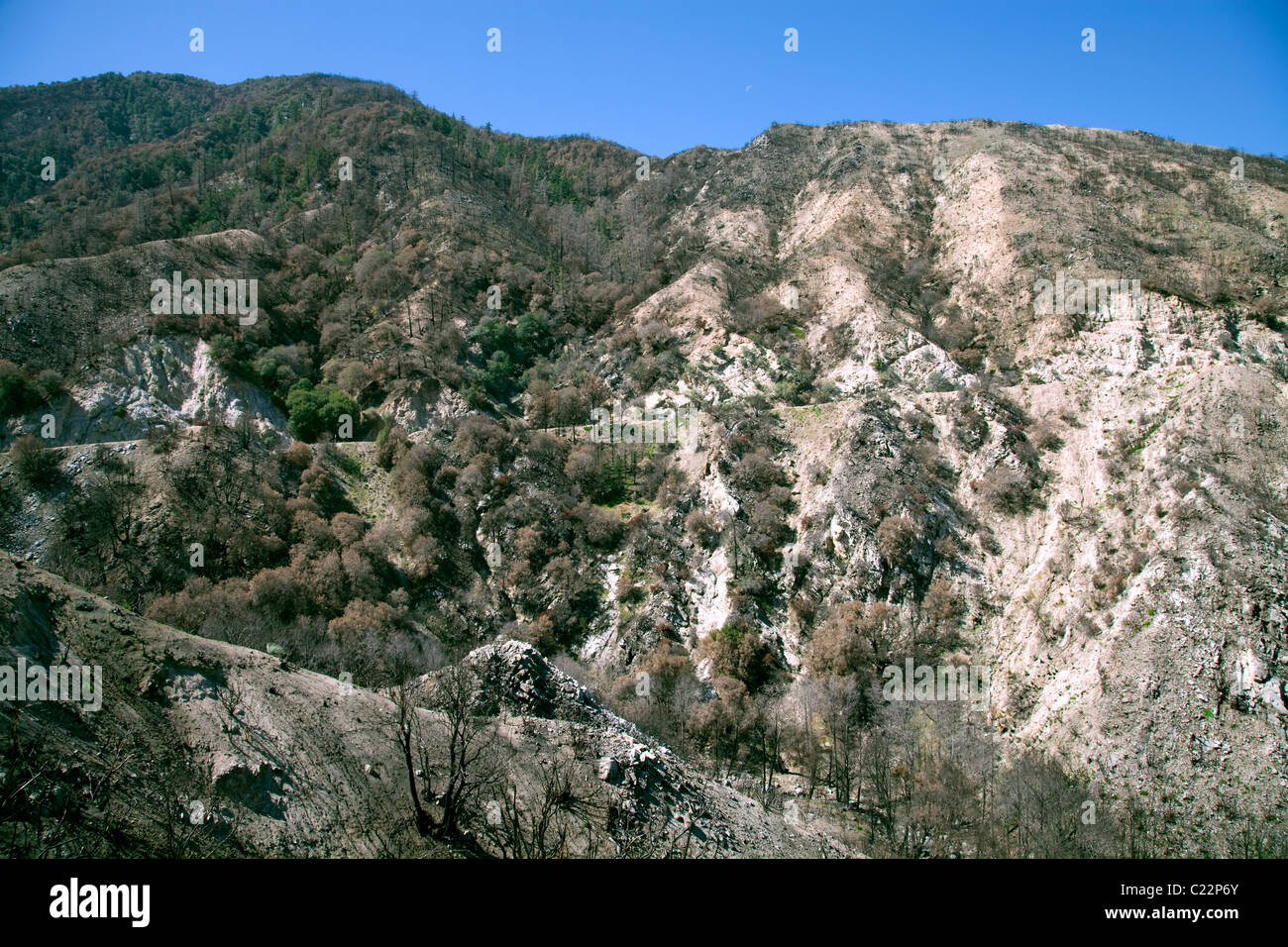 En avril 2010, environ six mois après l'incendie de la Station, re-croissance commence à apparaître dans certains des domaines de la brûler à Ang Banque D'Images