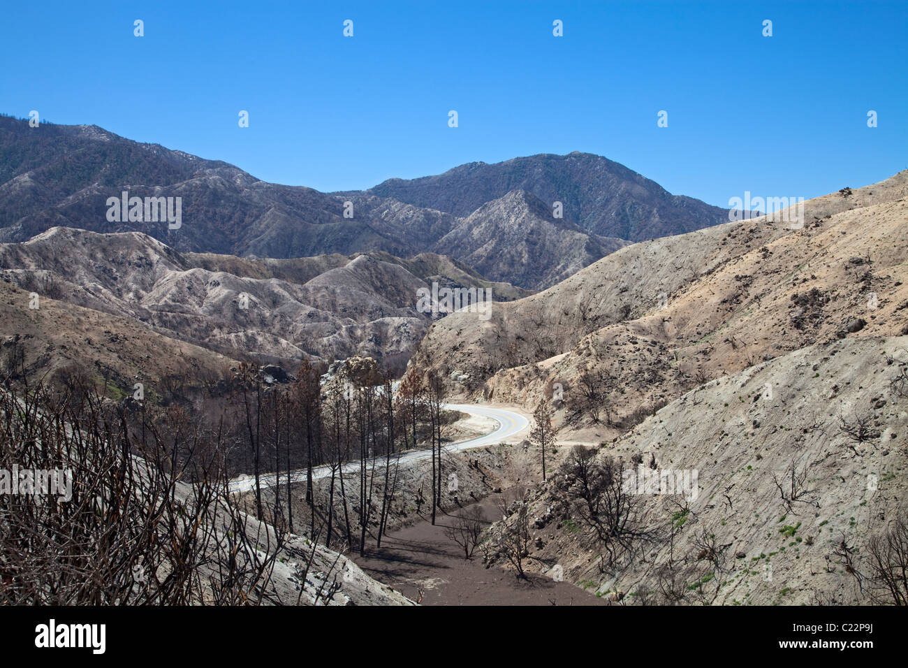 En avril 2010, environ six mois après l'incendie de la Station, re-croissance commence à apparaître dans certains des domaines de la brûler à Ang Banque D'Images