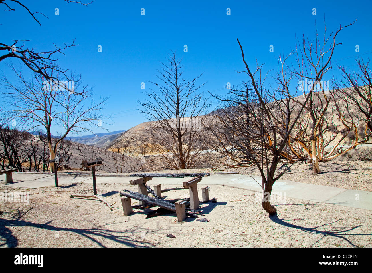 En avril 2010, environ six mois après l'incendie de la Station, re-croissance commence à apparaître dans certains des domaines de la brûler à Ang Banque D'Images