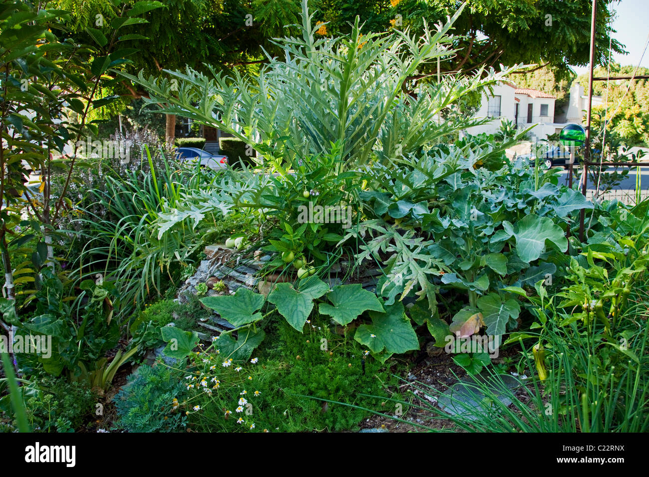La Permaculture jardin conçu par Larry Santoyo d'une coulée d'Design Works. Banque D'Images