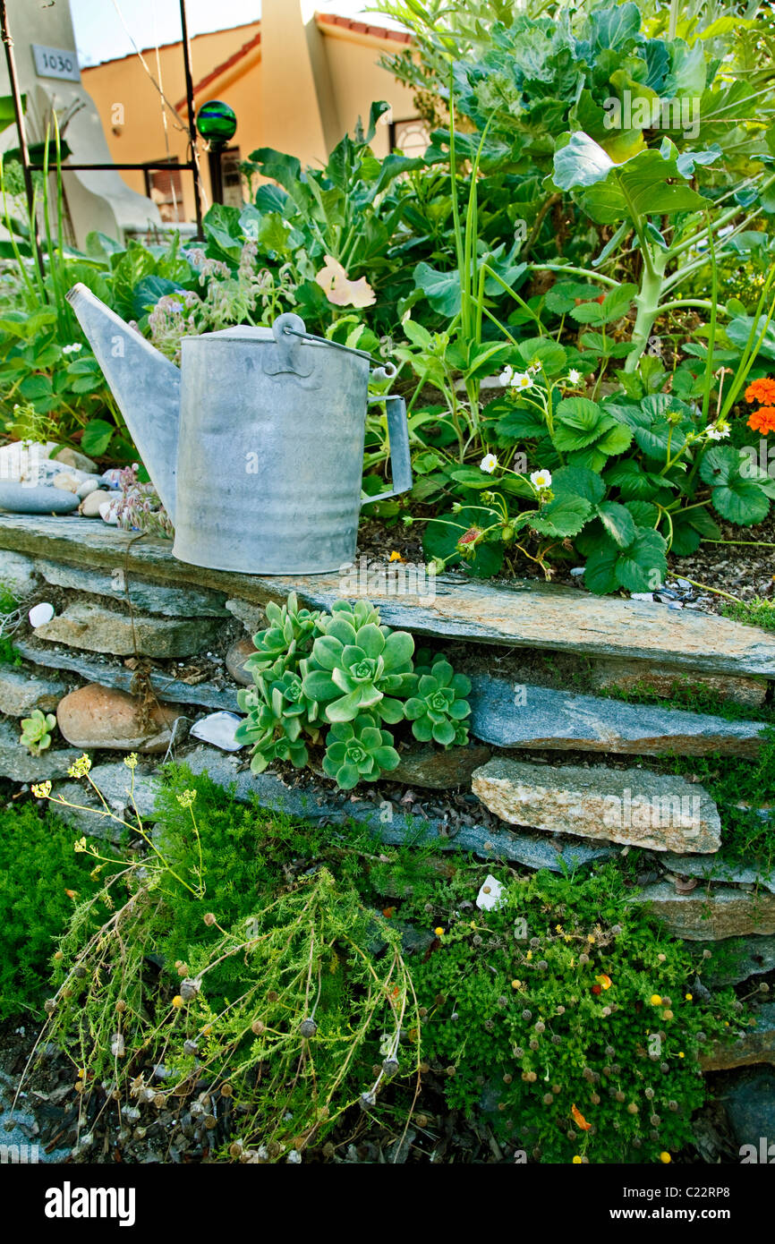 La Permaculture jardin conçu par Larry Santoyo d'une coulée d'Design Works. Banque D'Images