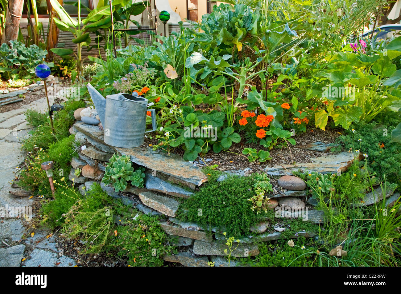 La Permaculture jardin conçu par Larry Santoyo d'une coulée d'Design Works. Banque D'Images