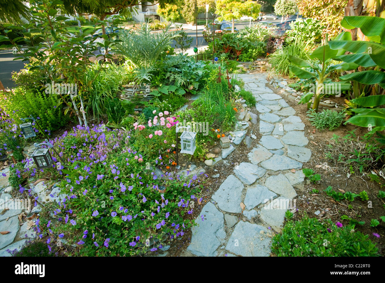 La Permaculture jardin conçu par Larry Santoyo d'une coulée d'Design Works. Banque D'Images