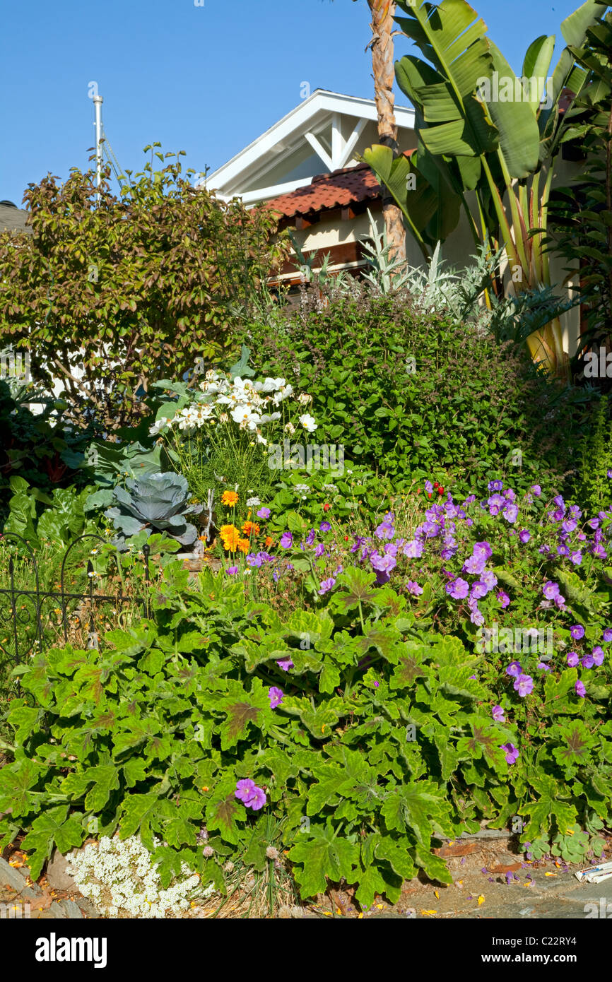 La Permaculture jardin conçu par Larry Santoyo d'une coulée d'Design Works. Banque D'Images