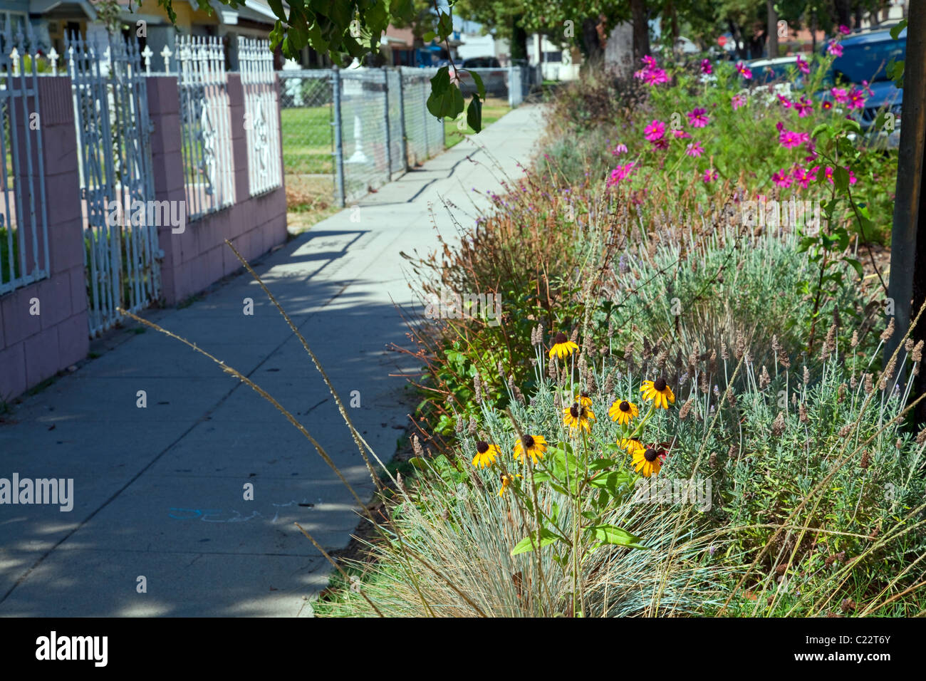 Promenade sur le trottoir en face de la Fondation nous pouvons Centre d'apprentissage communautaire du centre-sud de Los Angeles Banque D'Images