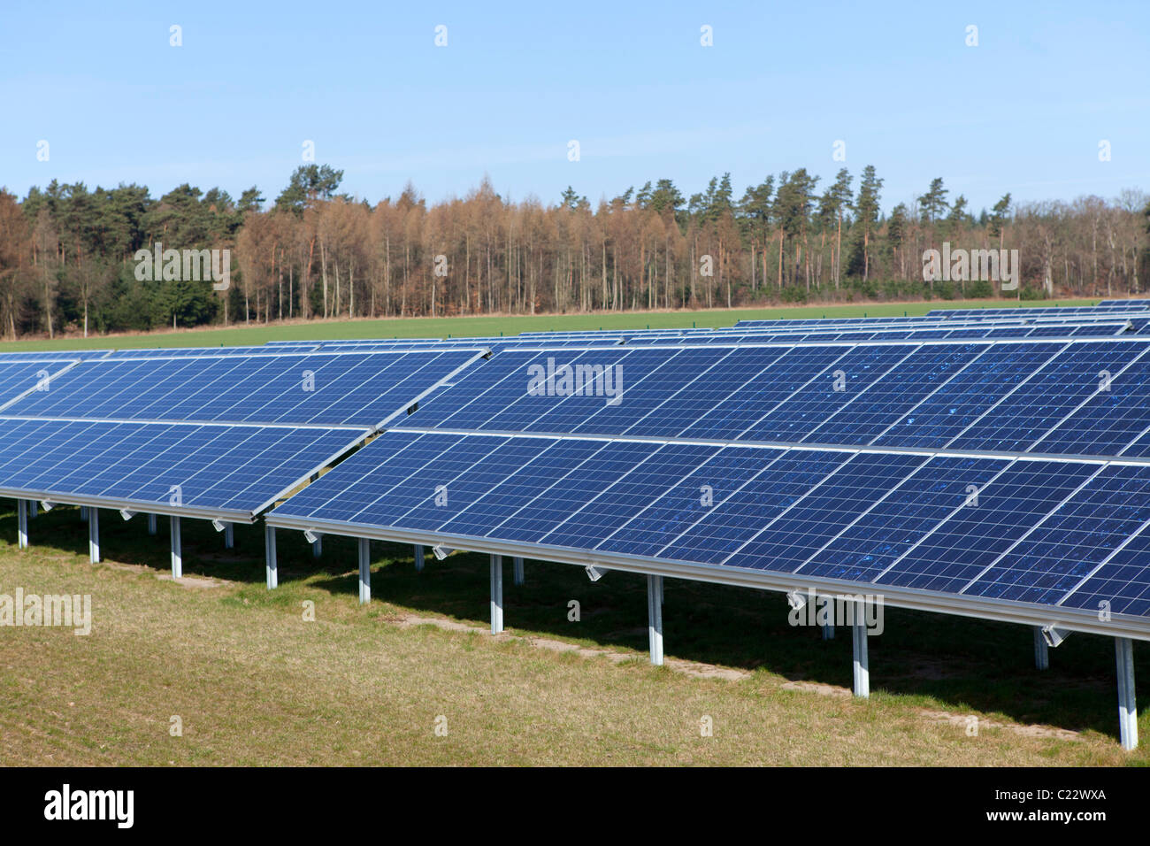 Ferme solaire près de Suedergellersen, Basse-Saxe, Allemagne Banque D'Images