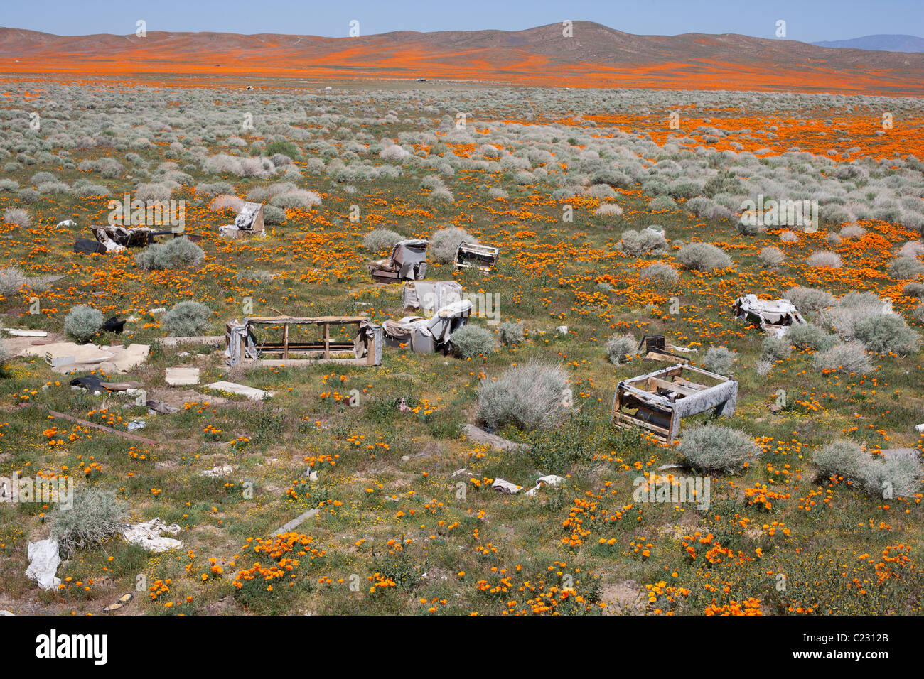 Déchets dans un champ de coquelicots dorés de Californie dans le désert de Mohave près de la ville de Lancaster, Los Angeles County, Californie, USA. Banque D'Images