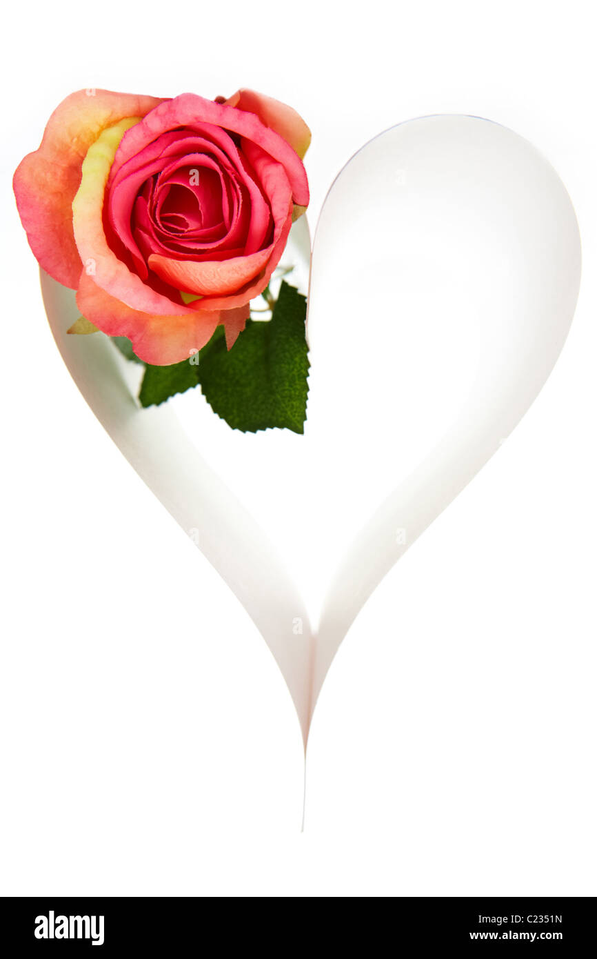 Coeur composé de papier avec rose sur fond blanc Banque D'Images