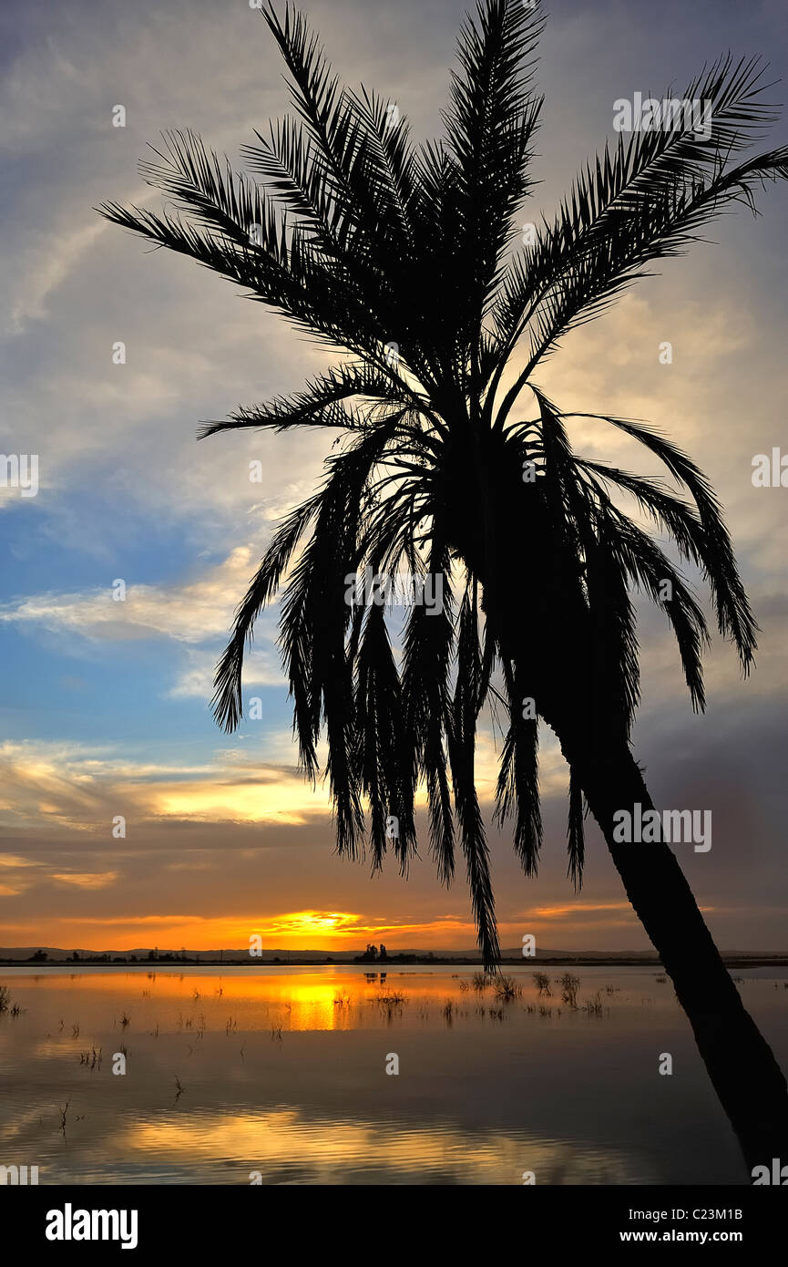 Coucher de soleil sur un lac salé à Fatnas Island près de la ville de Siwa, désert de l'ouest, l'Egypte Banque D'Images