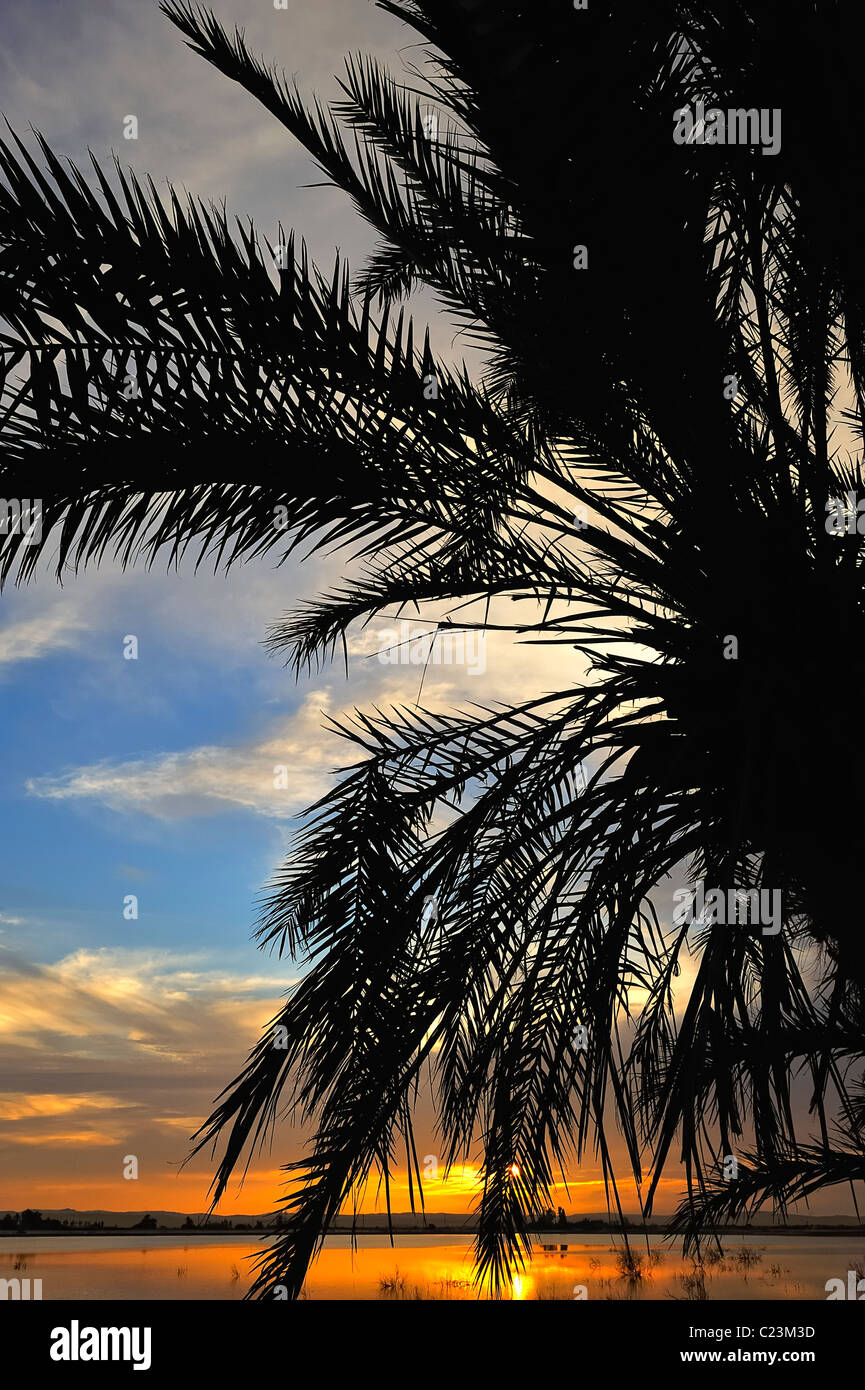 Coucher de soleil sur un lac salé à Fatnas Island près de la ville de Siwa, désert de l'ouest, l'Egypte Banque D'Images