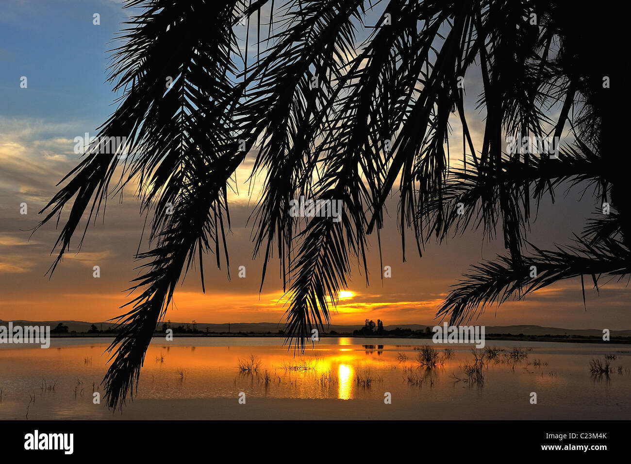 Coucher de soleil sur un lac salé à Fatnas Island près de la ville de Siwa, désert de l'ouest, l'Egypte Banque D'Images