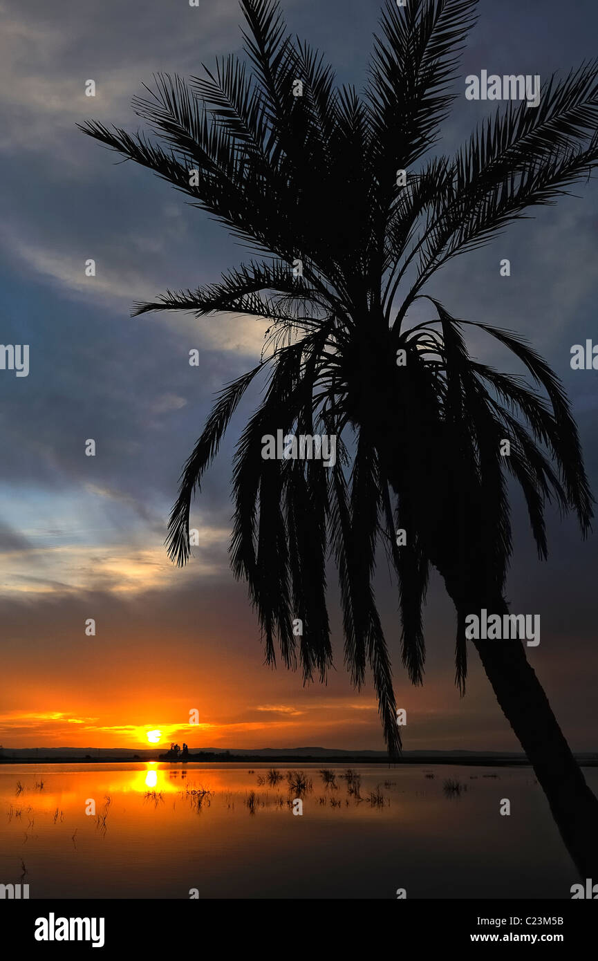 Coucher de soleil sur un lac salé à Fatnas Island près de la ville de Siwa, désert de l'ouest, l'Egypte Banque D'Images