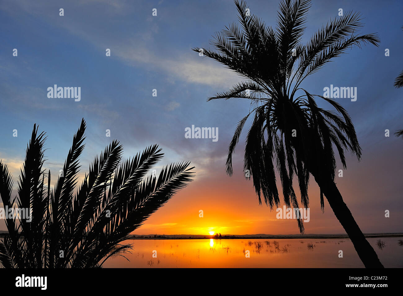 Coucher de soleil sur un lac salé à Fatnas Island près de la ville de Siwa, désert de l'ouest, l'Egypte Banque D'Images
