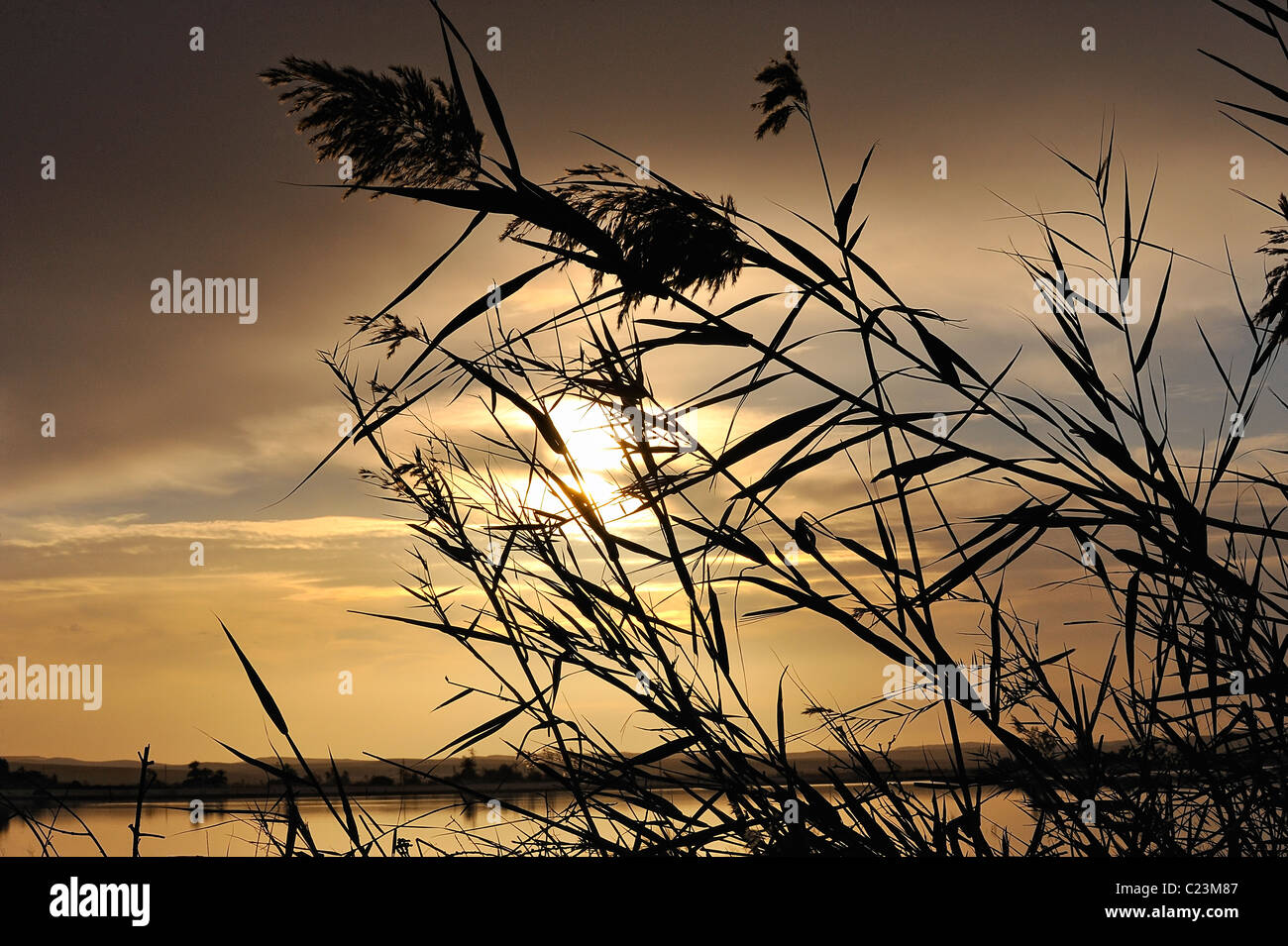 Coucher de soleil sur un lac salé à Fatnas Island près de la ville de Siwa, désert de l'ouest, l'Egypte Banque D'Images